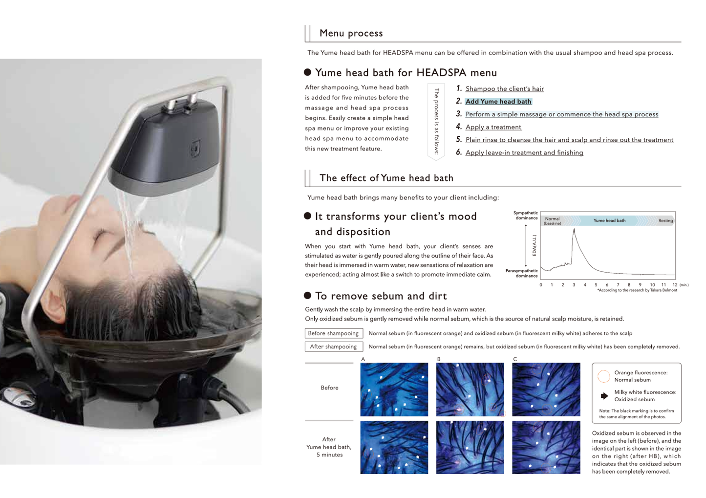 Takara Belmont Yume Head Bath - Luxury Japanese Head Spa Waterfall Attachment for Scalp Health and Relaxation. Enhances client experience with warm water cascade, relaxing sound of flowing stream, and gentle removal of oxidized sebum. Pipeless, hygienic, and compatible with YUME wash units for professional scalp treatments at Eikonic Academy.